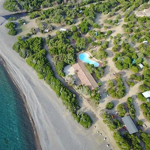 New Coccorrocci Italie